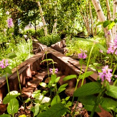 Songs for My Daughter [2015- Present]