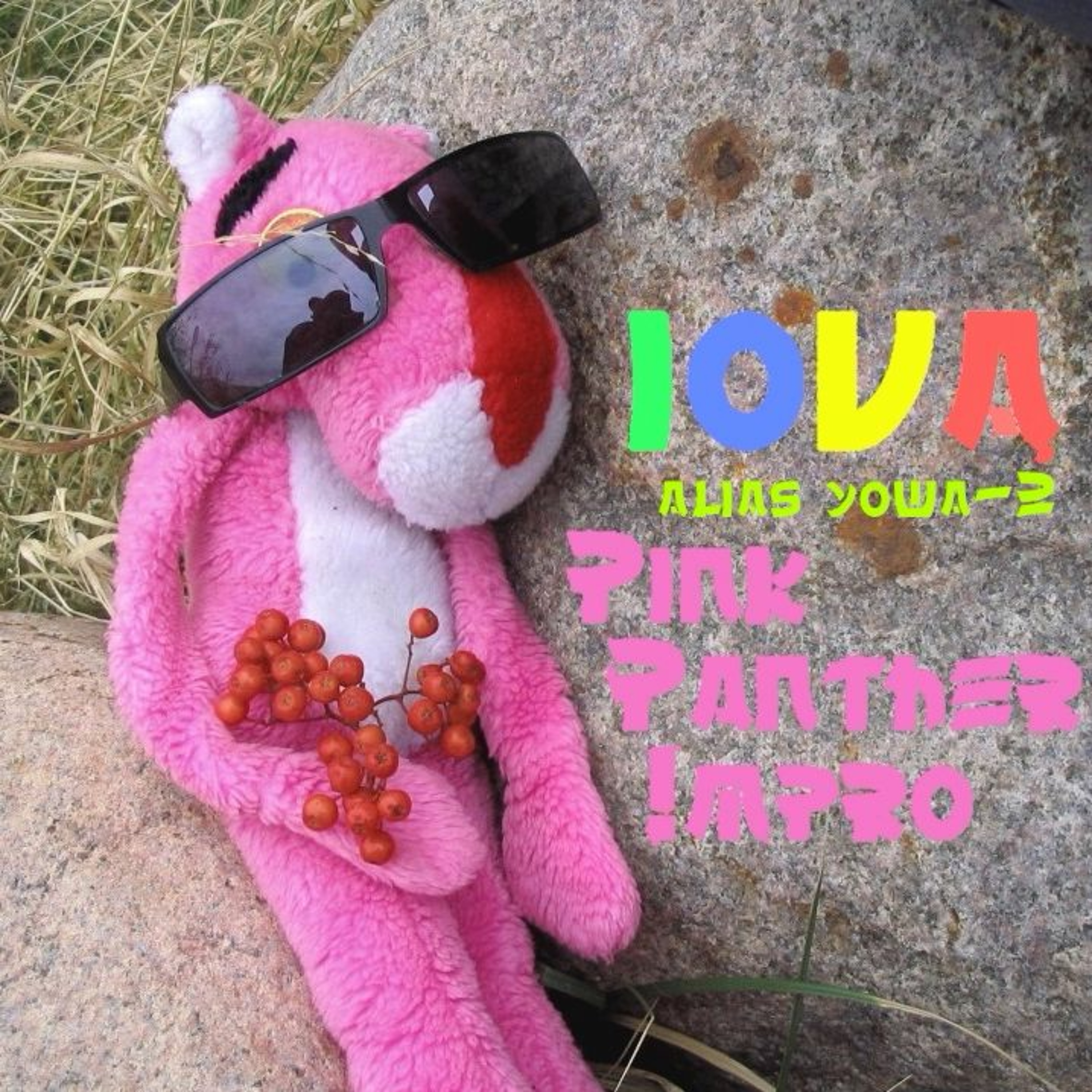 Pink Panther!mpro Lr episode artwork