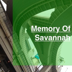 Memory Of Savannah