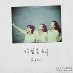 SHE-你曾是少年 cover By W.H