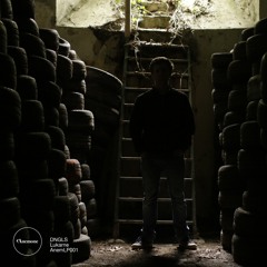 DNGLS - LANNISTER preview - Anemone Recordings