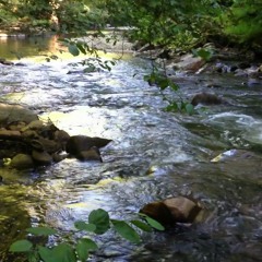 "La Rivière Des Rêves" -  Océane Delaune et Thomas Lacaille