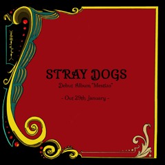 Stray Dogs (official single)