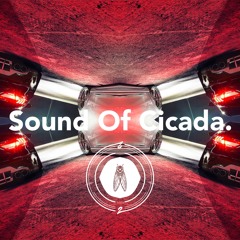 Dj Mehdi Vs Justice & Daft Punk - Signatune World (LU2VYK Remix)