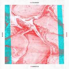 PREMIERE: Gatos Negros - Chipotle (Inflagranti Remix) - Rotten City Files