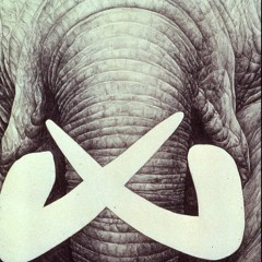 Ivorything 07°