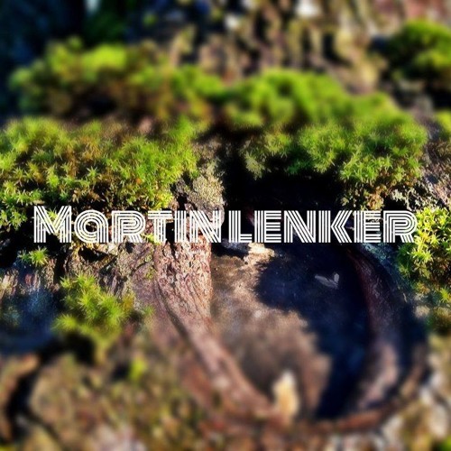 _-SKY DANCE by MARTIN LENKER-_