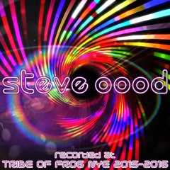 Steve OOOD - Recorded at Tribe of Frog NYE 2015-2016