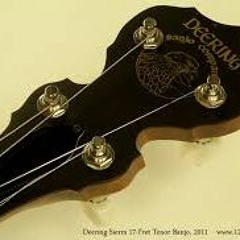 Misty Mountain - Tenor Banjo