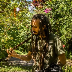 Picó Roots - Preservar A Natureza