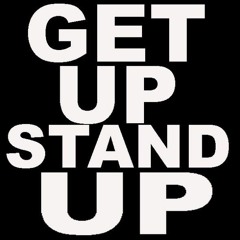 Pink Turtle - Get Up Stand Up (Michael Lener Remix)