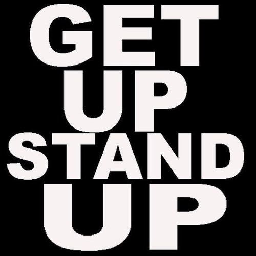Pink Turtle - Get Up Stand Up (Michael Lener Remix)