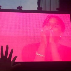 L$D (A$AP ROCKY COVER)