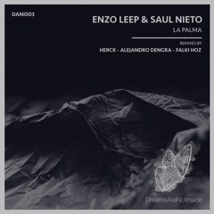 Enzo Leep & Saul Nieto - La Palma (Falki Hoz Remix)