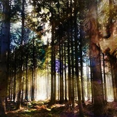 New Moon Call ~ Winter: A Seasonal Sabbath Invitation