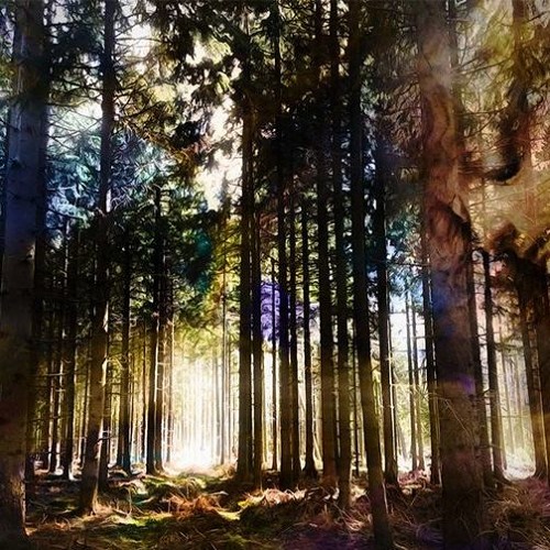 New Moon Call ~ Winter: A Seasonal Sabbath Invitation