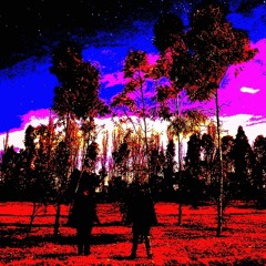 Pablo Primero / Obertura para una mirada anónima, o no