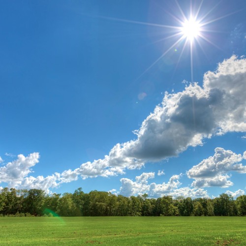 Sunny ☂  [new Wave Bump] ?