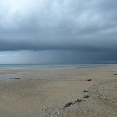 Te Deum - Marc Antoine Charpentier LIVE IN CONCERT (Normandy, France)