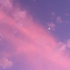 Blue Navy - Iris / Tropicana