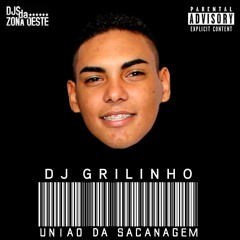 O GRILINHO É BOM DEMAIS [[DJS MENDES, GRILINHO E RAY]] +