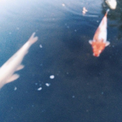 vbnd - memories
