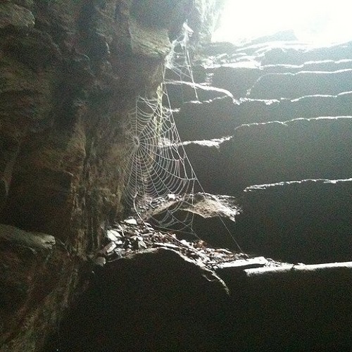 ZEN - Show Me
