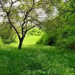 A Something In A Summers Day