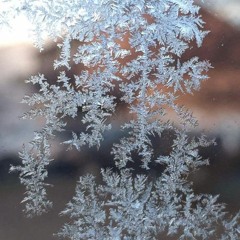 Lets Make A Baby, Baby