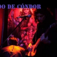 NieblaEnSánScrito_ NIDO DE CONDOR