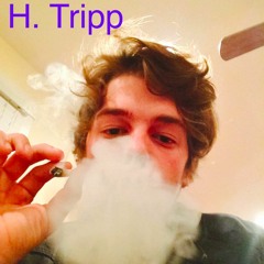 Haydn's Truth prod. felly