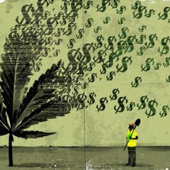 Money Trees (Freestyle)