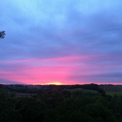 Love Life (feat. Talib Kweli)