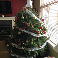 Christmas Pad Step [full]