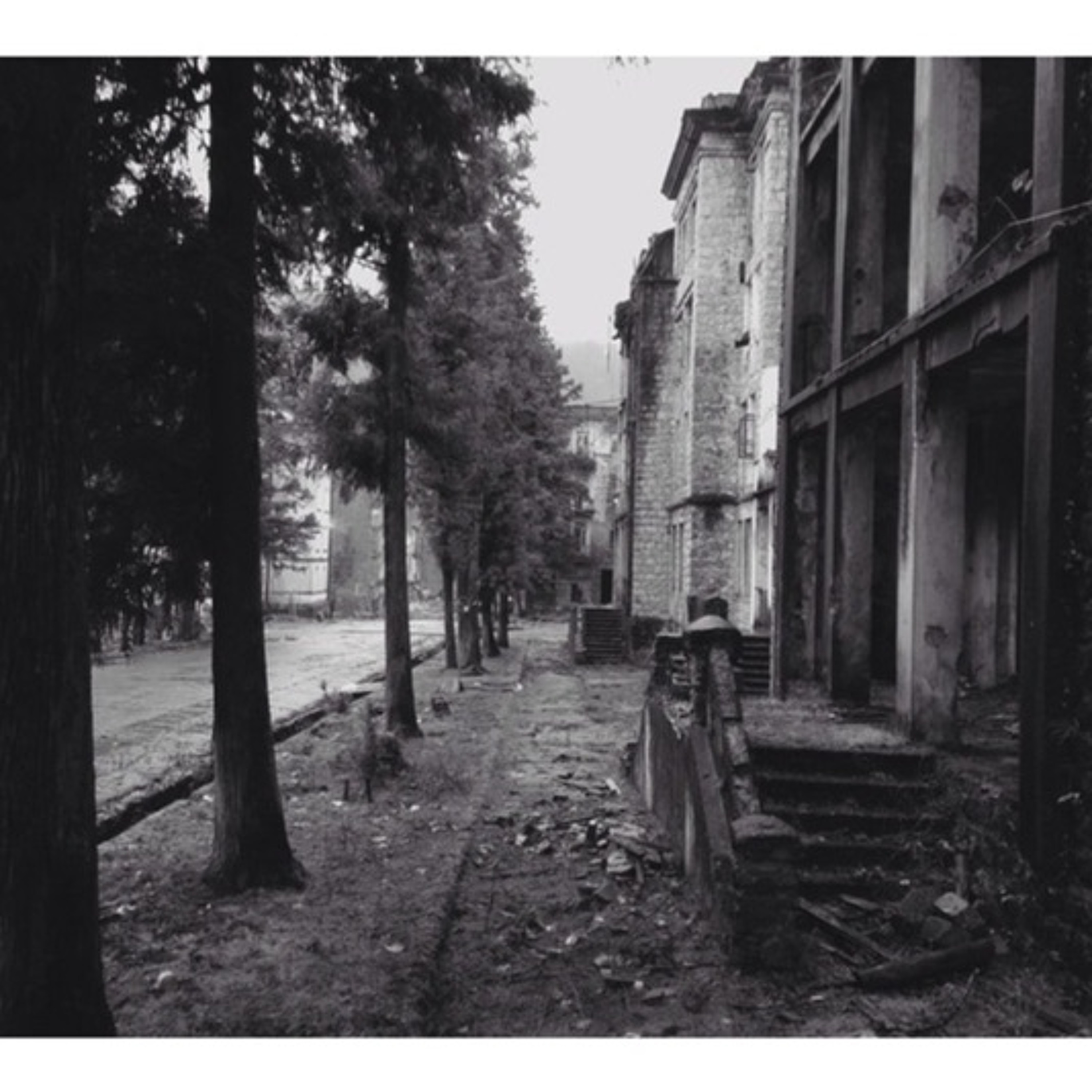 Evgeny Teilor
