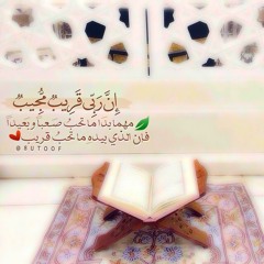 جميع تلاوات هزاع البلوشي