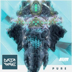 Data Wave - Pure