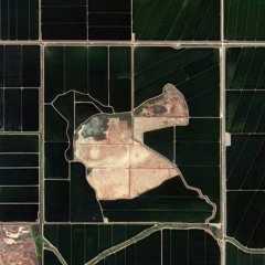 Virgin Soil
