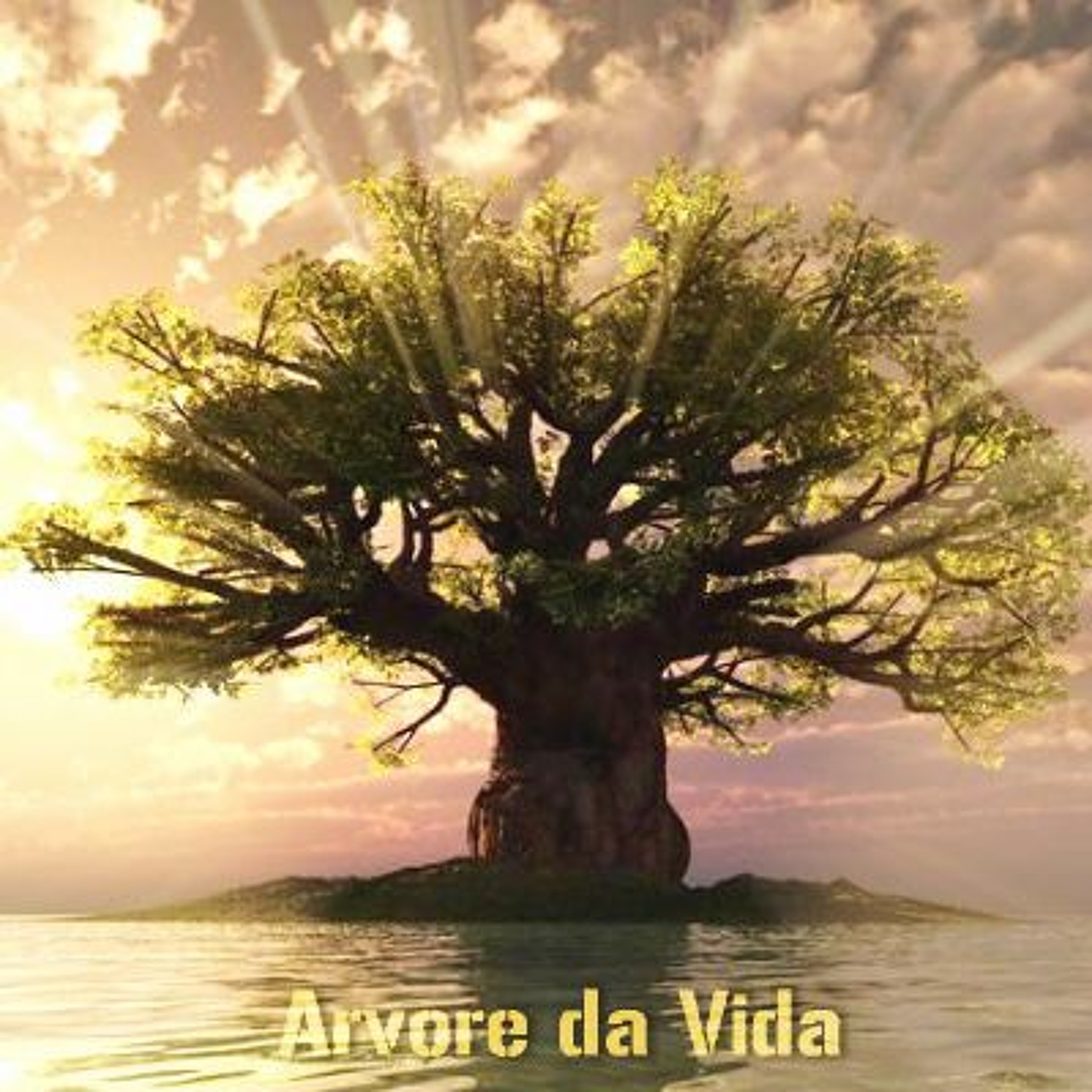 Ministério BTY - Casa de Oração Yeshua