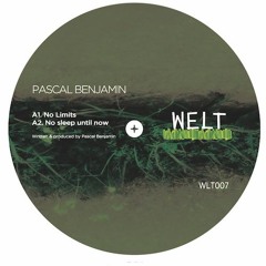 Pascal Benjamin//No Limits EP