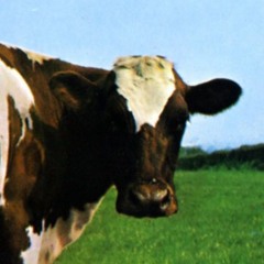 ATOM HEART MOTHER MP3