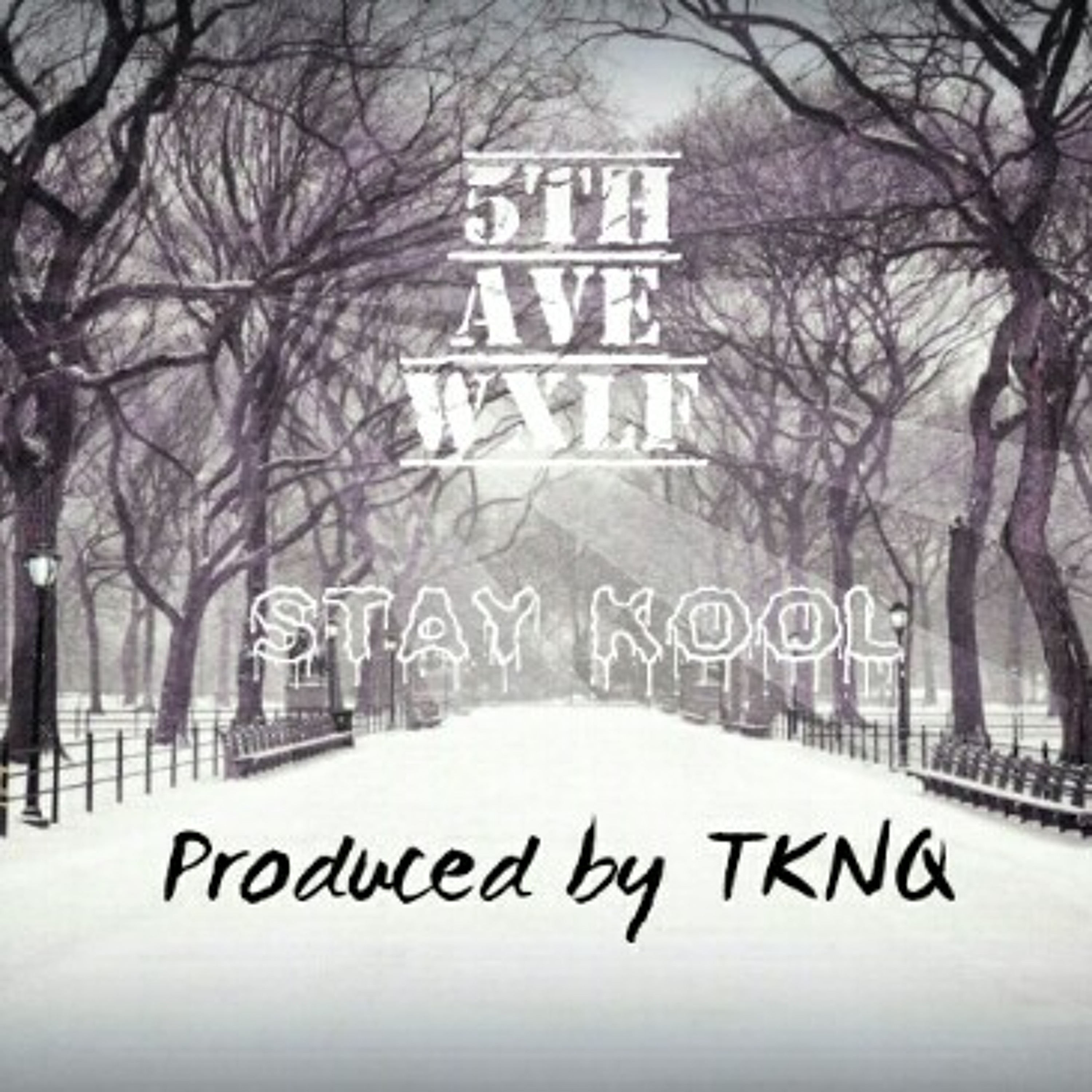 Stay Kool (Prod. by TKNQ) episode artwork