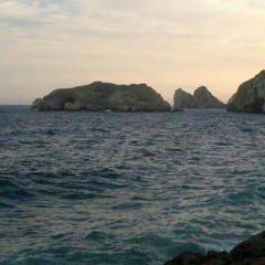 عمر خورشيد == حتى آخر العمر موسيقى