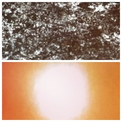 ANTS IN MOON By Katherine Liberovskaya