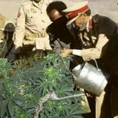 Africa unite - Ziggy Marley