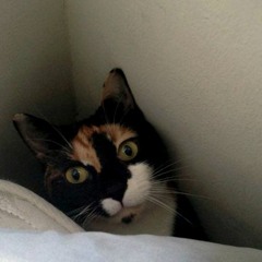 EXTENDED RELEASE LIVE