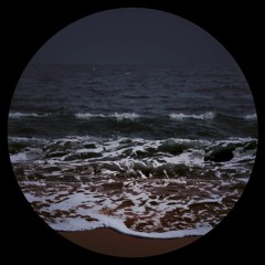 B1. Dans Mon Salon - Seabed (Kreon's Pas Shock Remix)