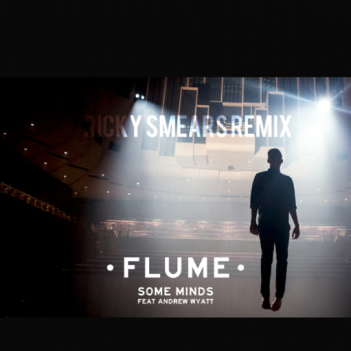 Some Minds (Ricky Smears Remix)