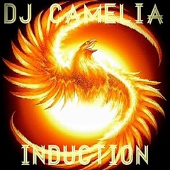 Camelia - Induction