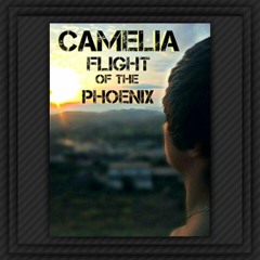 Dj Camelia -  Flight Of The Phoenix